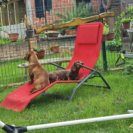 Vikendica Emily Ferienhaus *