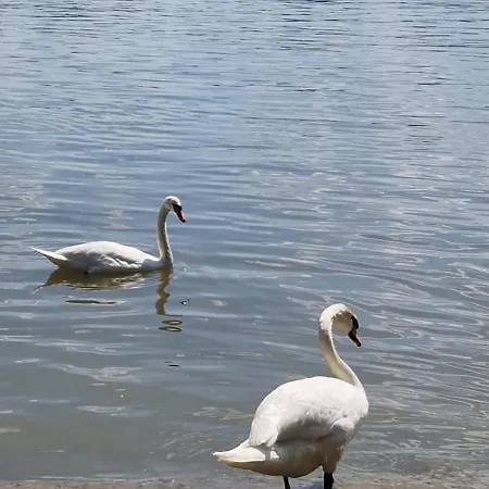 Vikendica Emily Kovin