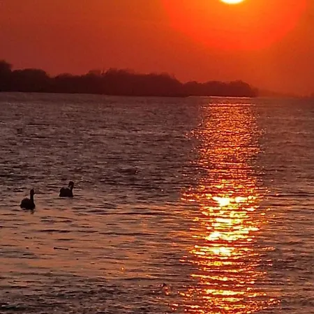 Ferienhaus Vikendica Emily Kovin